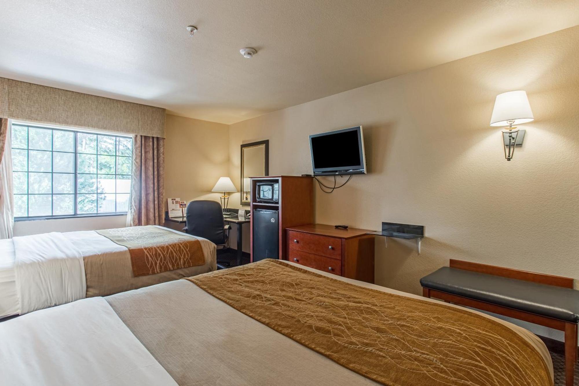 Junior Suite,1218755083:JPEG